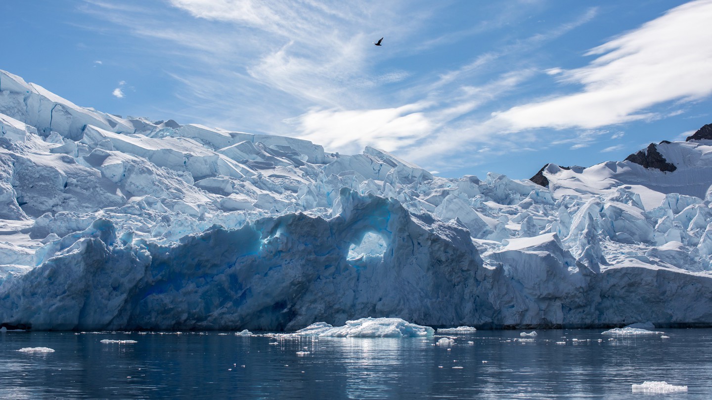 Dưới lớp băng Nam Cực có sự sống