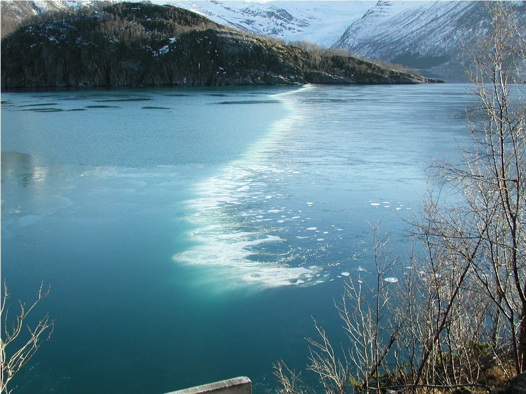 công nghệ màn bong bóng để giữ các vịnh không bị đóng băng